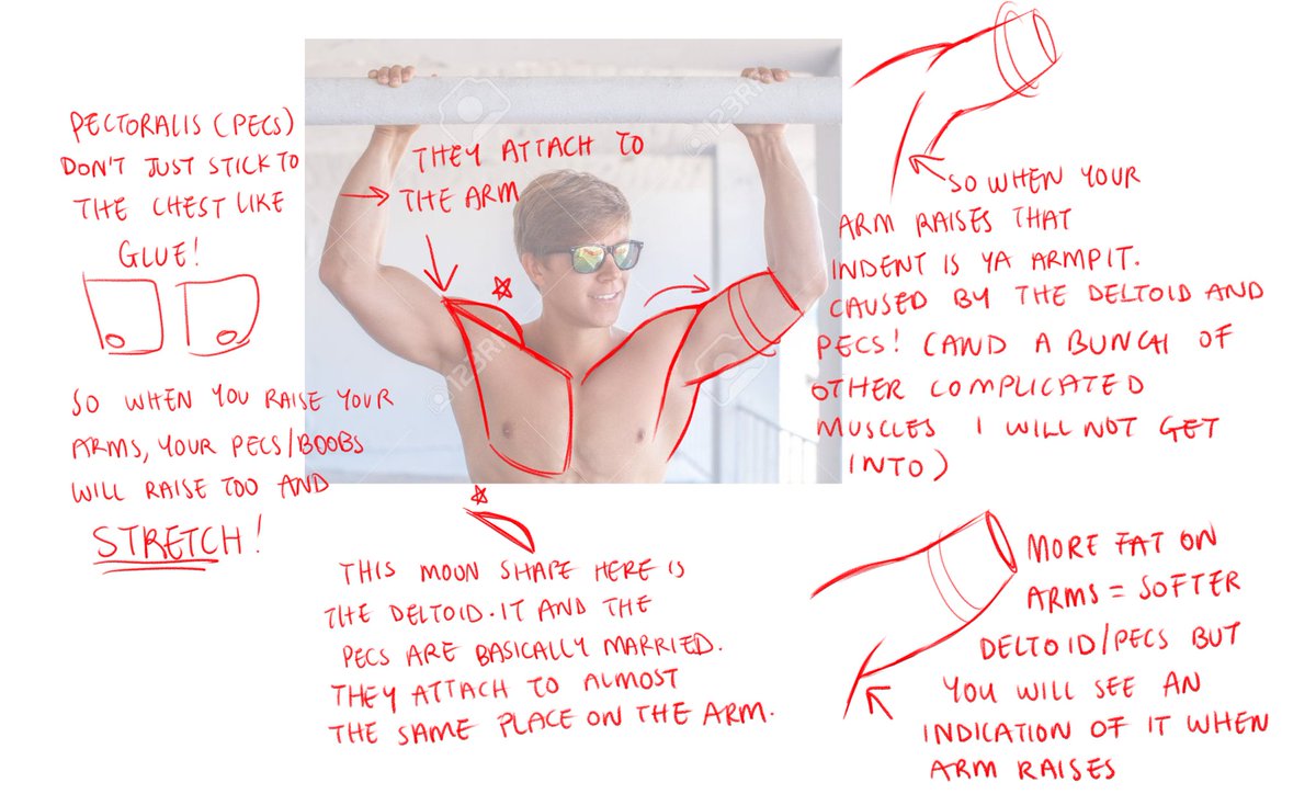 Notes I made for a critique on Armpits and Neck!

I honestly spend more time trying to think of how to make concepts easy to someone that has never heard of these words before than actually making the tutorial ;_; 