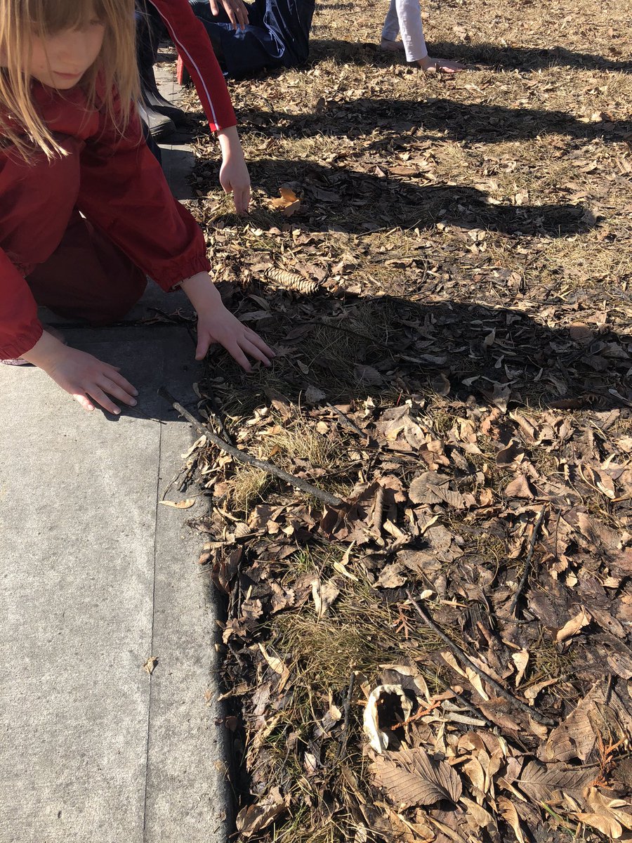 apsmola's tweet image. How can we not be exploring our senses outside when it’s 16 degrees!? #explorereducator #gooutside @avonmoreyeg 

What can you  👀👂✋👃👄 in your community!?