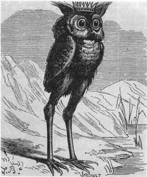also they totally ruined my boy stolas, some crimes can never be forgiven 