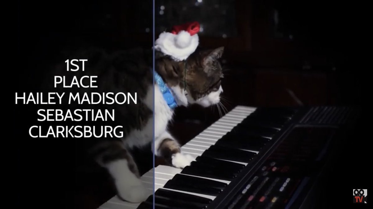 Clarksburg Forensics 💬 tweet media