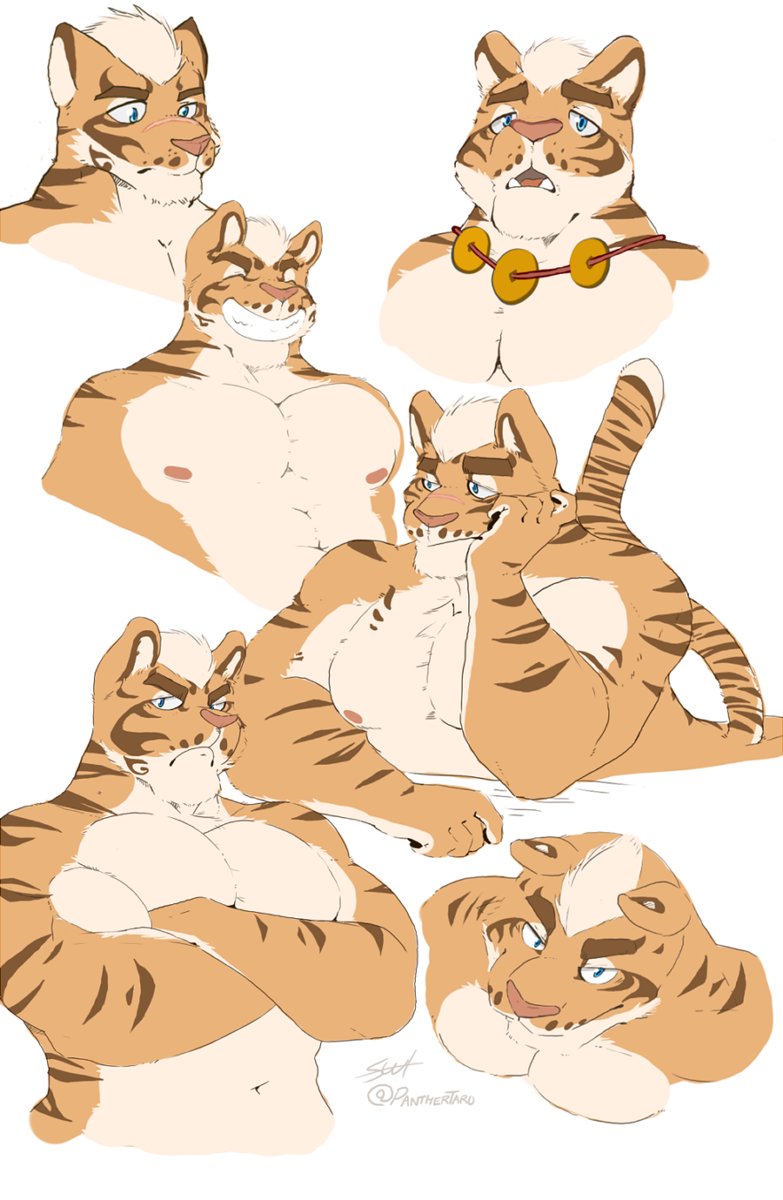 PantherTaro's tweet photo. Here are some old sketches of Lin Hu from Nekojishi. 🐯They're bad, but I still like them. ;w; https://t.co/G1cOw7rFb4
