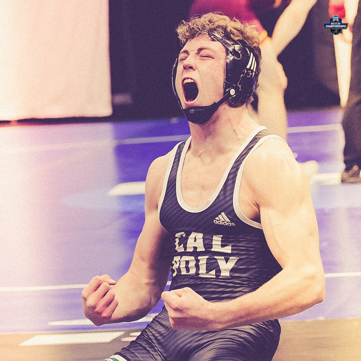 NCAAWrestling's tweet photo. Quarterfinals bound! 

#NCAAWrestling https://t.co/Gbre35p5Wa