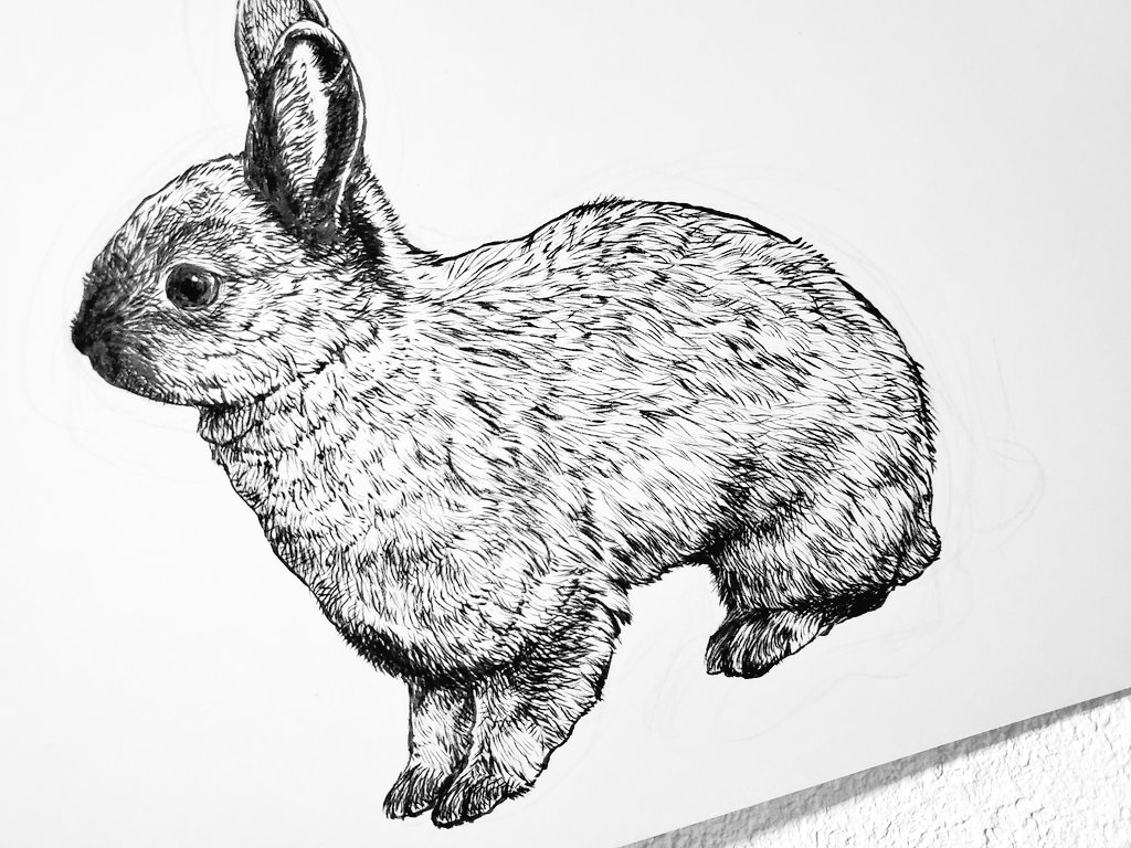 あくび桃 動物イラスト Akubieokaku Twitter あくび桃 動物イラスト Akubieokaku Twitter