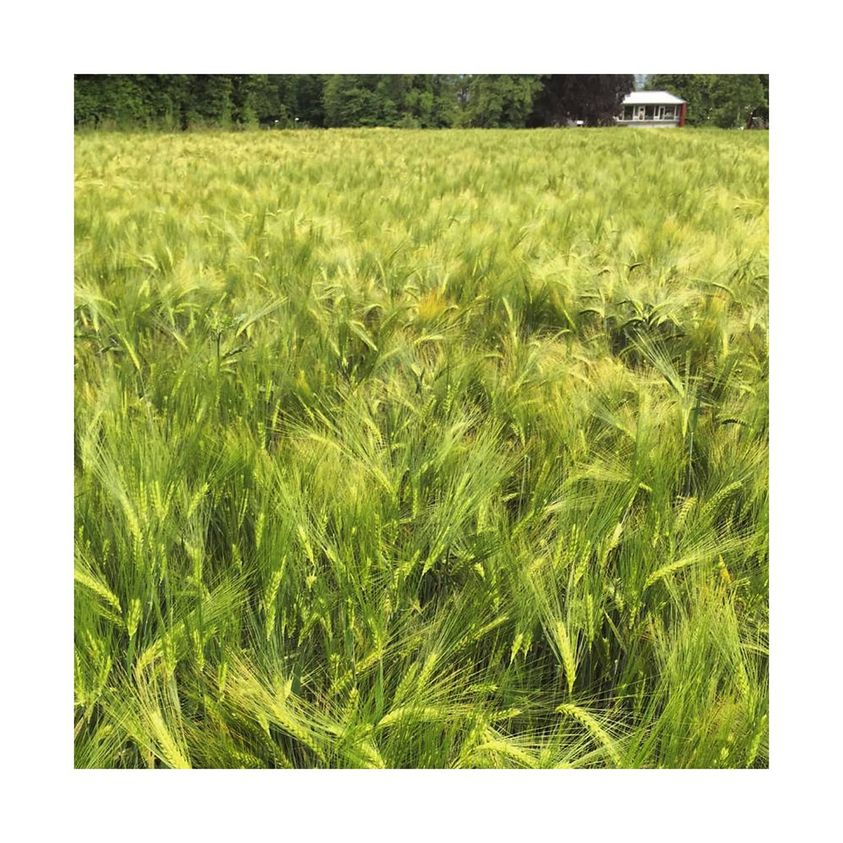 AyEcbd's tweet photo. What makes us feel like COMING HOME?
#CBD #AYE #cbdhealth #cbdproducts #natural #benefits #healing #NationalLibraryOfMedicine #skinbeauty #neuropathy #miami #florida #localbusiness #supportsmallbusiness #womeninbusiness #whatisCBD #womenempowerment #cominghome https://t.co/YwJVwHLOPf
