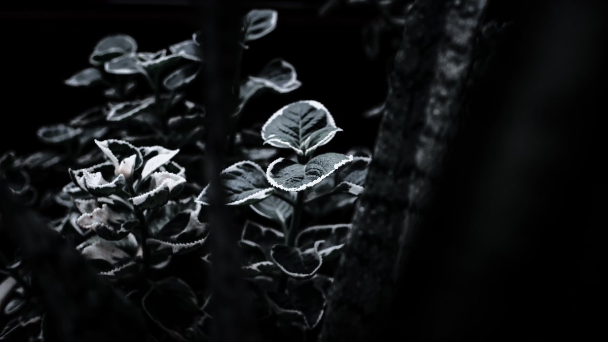 ISKNDR94's tweet photo. @jaserhunter @FujifilmX_US Just bought xt-20 about months ago and i already fall in love with fujifilm https://t.co/7ZnOZe09jm