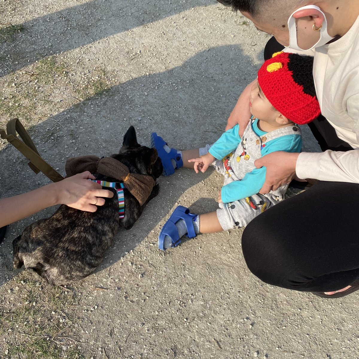 iro_rotties's tweet photo. .
.
毎日がhappyでhappyすぎます🤤🤍 https://t.co/mgsUXsYfdo