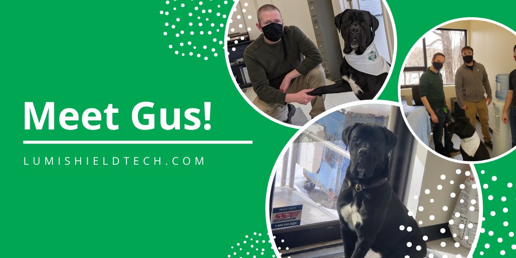 LumiShield tweet media