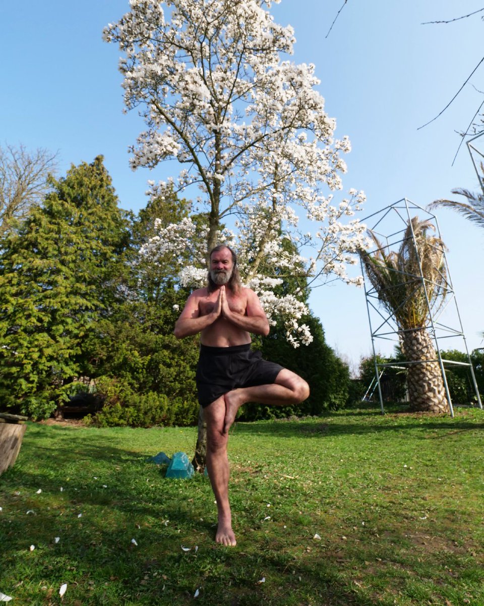 Wim Hof tweet media
