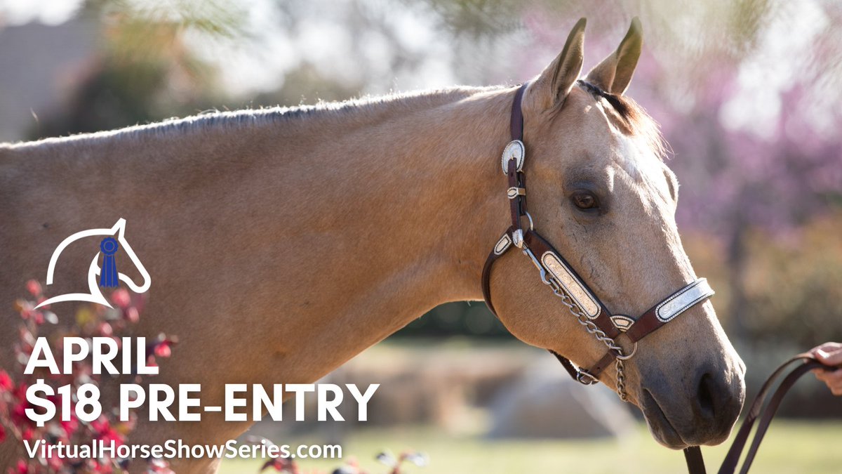 ShowMasterVHSS's tweet photo. Save on Entry Fees until April 7th! https://t.co/2vtZfya7lS #virtualhorseshow #horseshow #horse #horselovers #LoveHorses #equine #equestrian #equinephotography #equestrianlifestyle #horseriding #horsebackriding #ShowMaster https://t.co/bQpAOY5j0p