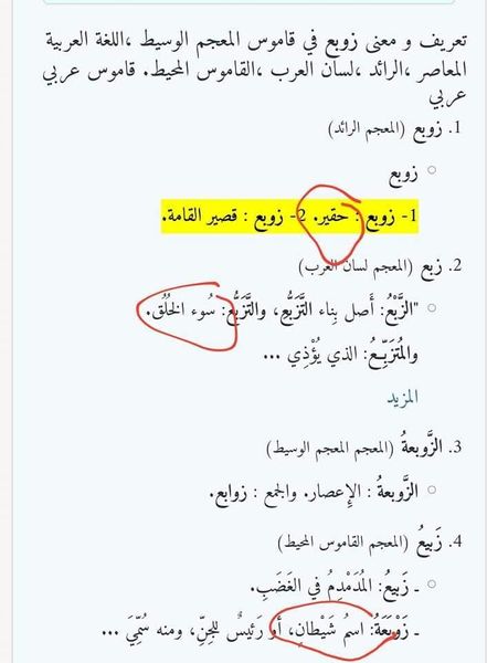 بوسي نور السعيد3 On Twitter معنى زوبع فى القاموس