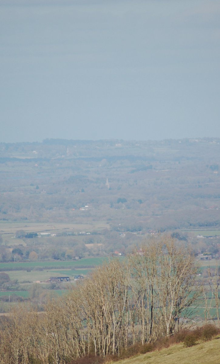 ChiddinglyRob's tweet image. what a day to be on top of the world - trees running down the scarp slope above #Firle plantation, looking north east with #Chiddingly church tower bang in the middle of the pic almost exactly seven miles away...
