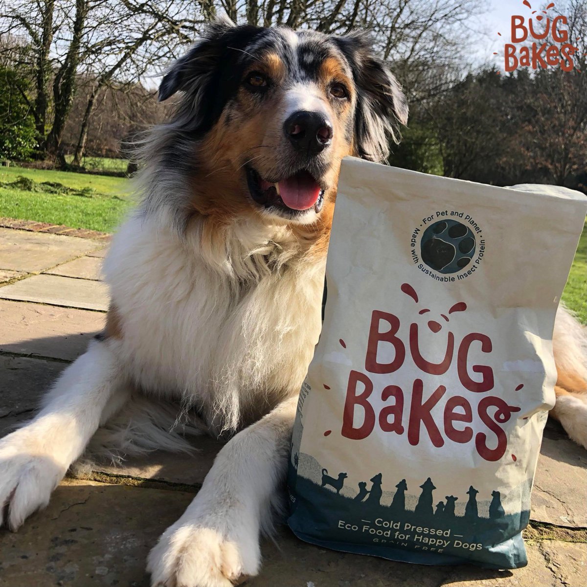 Friday✅
Bug Bakes delivery✅
Easter Weekend✅
Now try and resist opening that bag before meal time!😜

📸 - @adventure_dogs1

#bugbakes #dogfood #ecodogfood #ecofriendly #eco #ecodog #sustainable