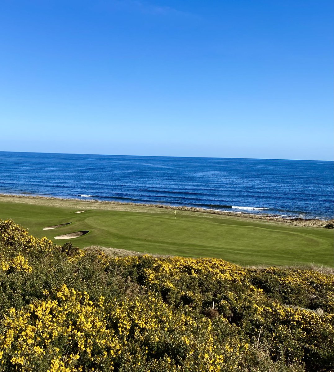It was magnificent ⁦<a href="/RoyalDornochGC/">Royal Dornoch</a>⁩ yesterday as this view over the 9th green. Forecast is even better for tomorrow 🤞