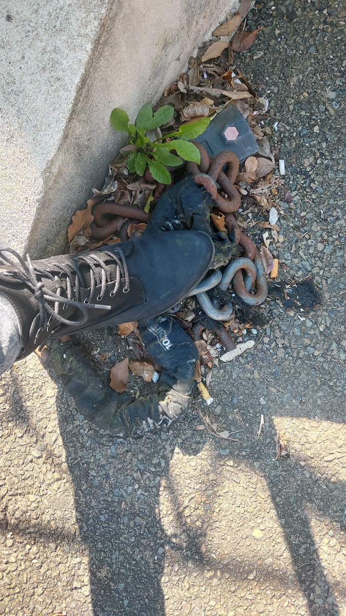 MaitresseElean1's tweet photo. Toujours une petite chaîne pour attacher les soumis dans le jardin 
#mistress #soumis #maitresse #moneyslave #moneypig #feet #foot #slave #bdsms https://t.co/IAmTeYE7oj