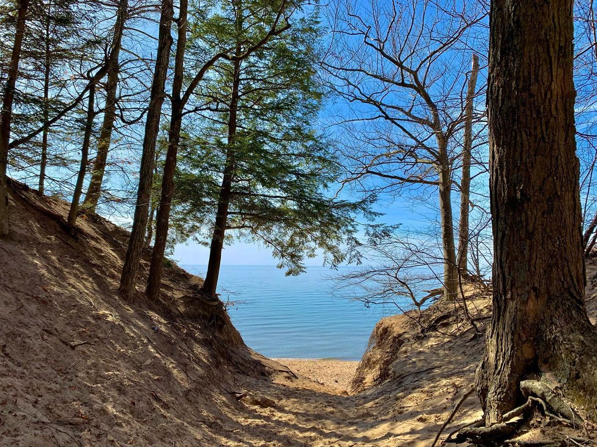 PureMichigan's tweet photo. Spring is a season of discovery.
πΈ: Instagram fan penguinhero #PureMichigan #SaugatuckDunes #MIBeachTowns #WestMichigan #MakersTrail #SWMichigan https://t.co/MAnLnHusy1