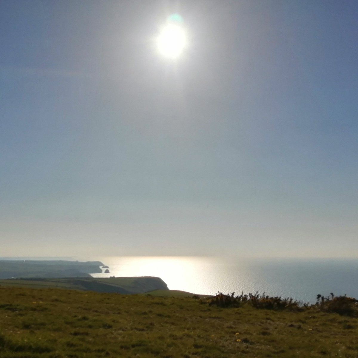 Mineshop Cottages tweet media