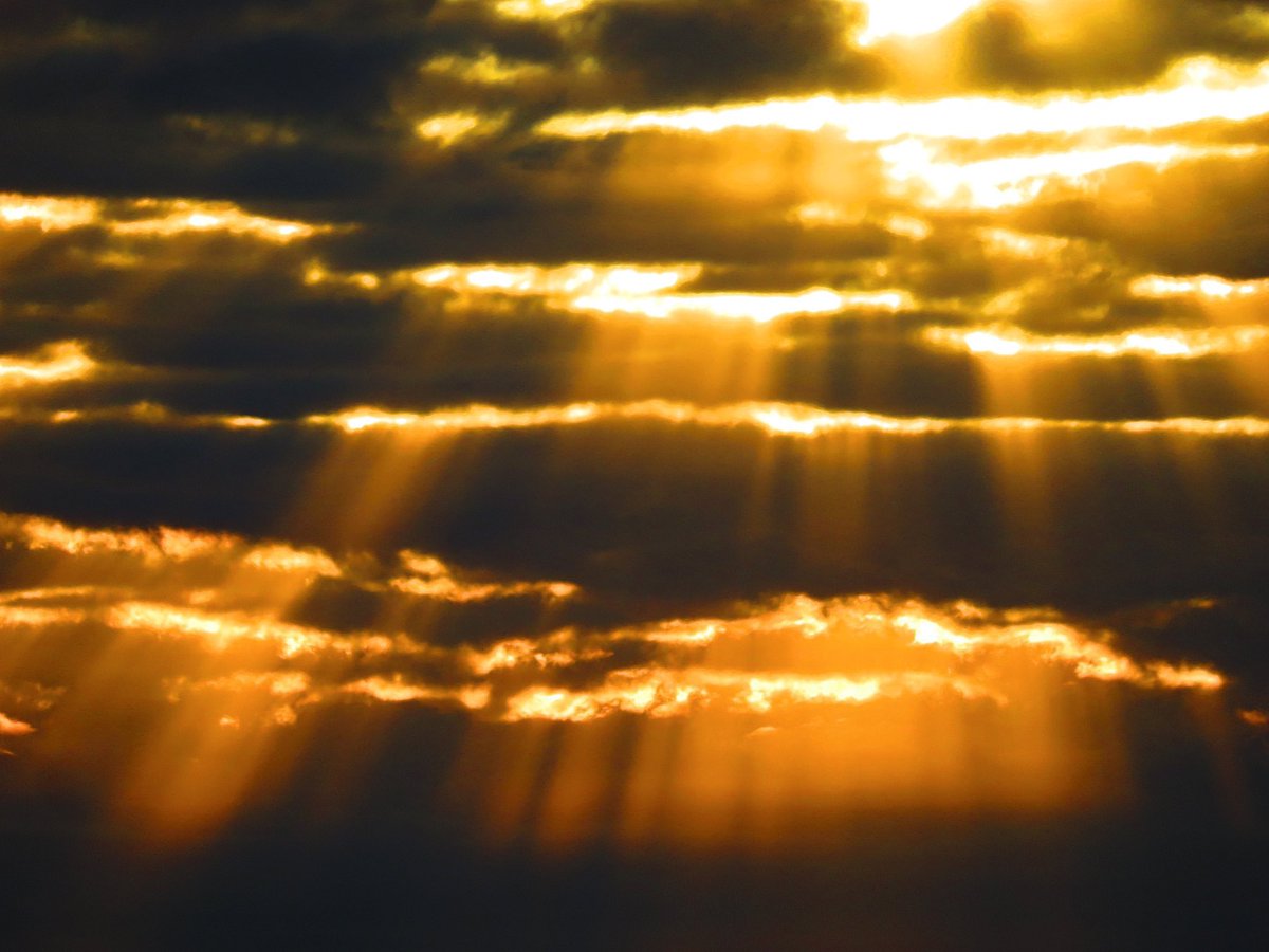 パトラッシュ 眠いんだ フランダースの犬 の名シーンのような天候現象がとても神々しい 天に召喚されてもいい Togetter