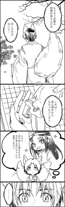 アキヒカ 
冬を越えたキツネとドングリ 