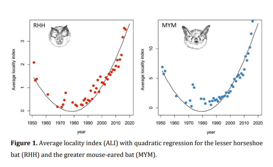 HayesAMark's tweet photo. This looks like good news for some bat species in Europe. Roost selection studies would also be fun, especially exploring castles and old churches as maternity sites! #bats
https://t.co/fPnjdQXpvm https://t.co/xaC17T8ulc