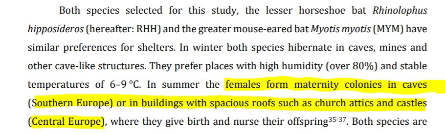 HayesAMark's tweet photo. This looks like good news for some bat species in Europe. Roost selection studies would also be fun, especially exploring castles and old churches as maternity sites! #bats
https://t.co/fPnjdQXpvm https://t.co/xaC17T8ulc