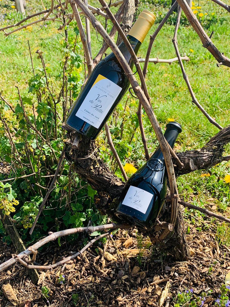 Domaine de Sainte Marie tweet media