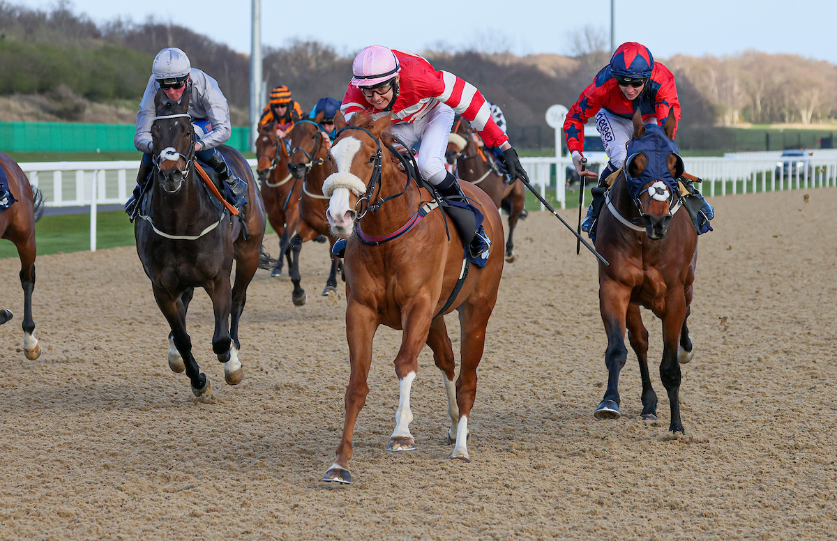 mdodsracing's tweet photo. Congratulations to our apprentice Aidan Redpath on riding his first winner on Havagomecca at @NewcastleRaces. https://t.co/3KvNTP3Ouo