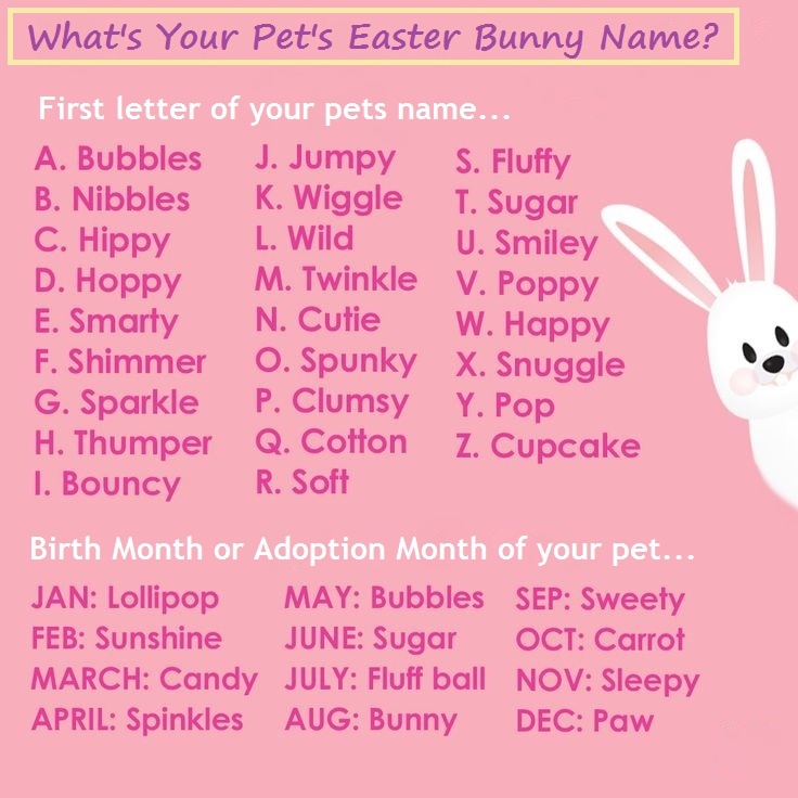 Healthysolutions4pet Healthysol4pets Twitter