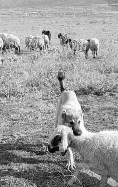 HawksThirtyNine's tweet image. Wait until you have all the information before you scream foul play !!!

#TheBigPicture #EditedNews #SelectiveReporting #TheFullStory #Media