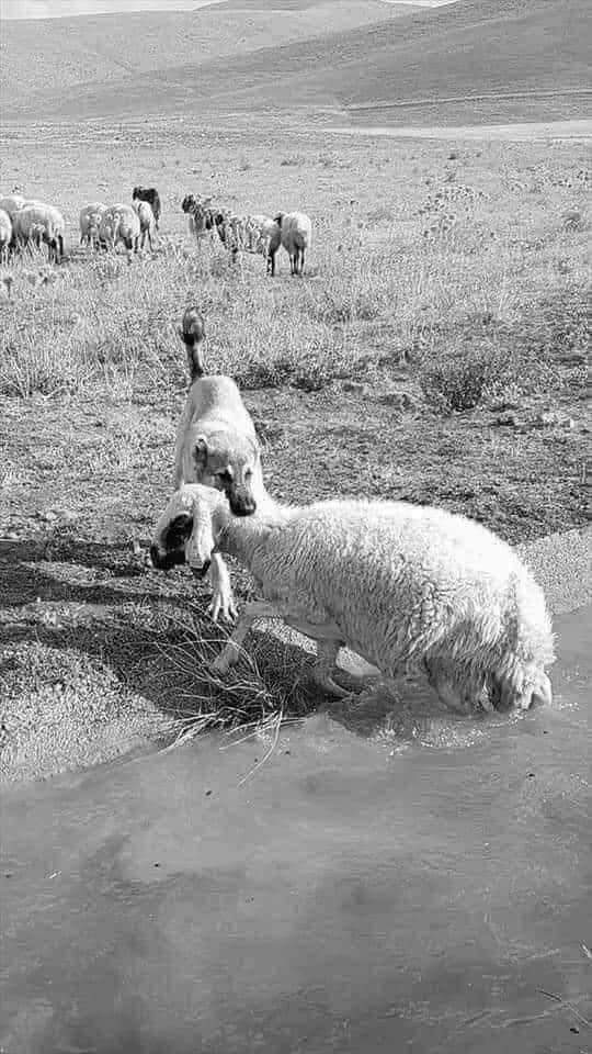 HawksThirtyNine's tweet image. Wait until you have all the information before you scream foul play !!!

#TheBigPicture #EditedNews #SelectiveReporting #TheFullStory #Media