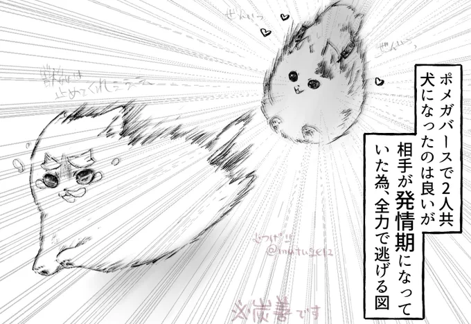 コレは炭善ポメガバース。 
