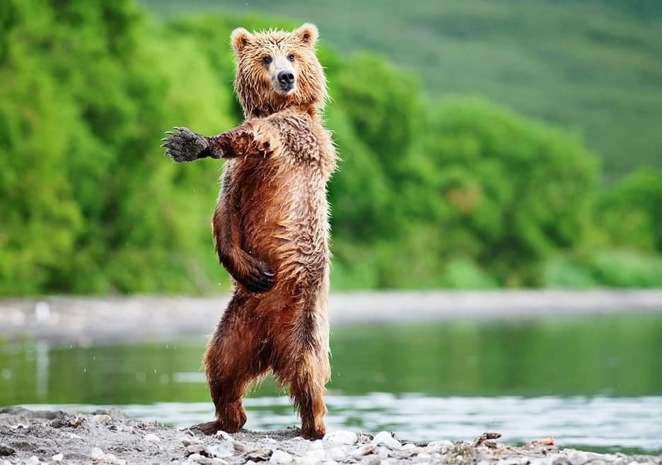 Russia's tweet photo. 🥳 Friday is upon us!
#LetMeSleep OR #PartyLikeARussian? 🔴🔵
Which #FridayMood do you prefer? https://t.co/G7rMz5YSuP