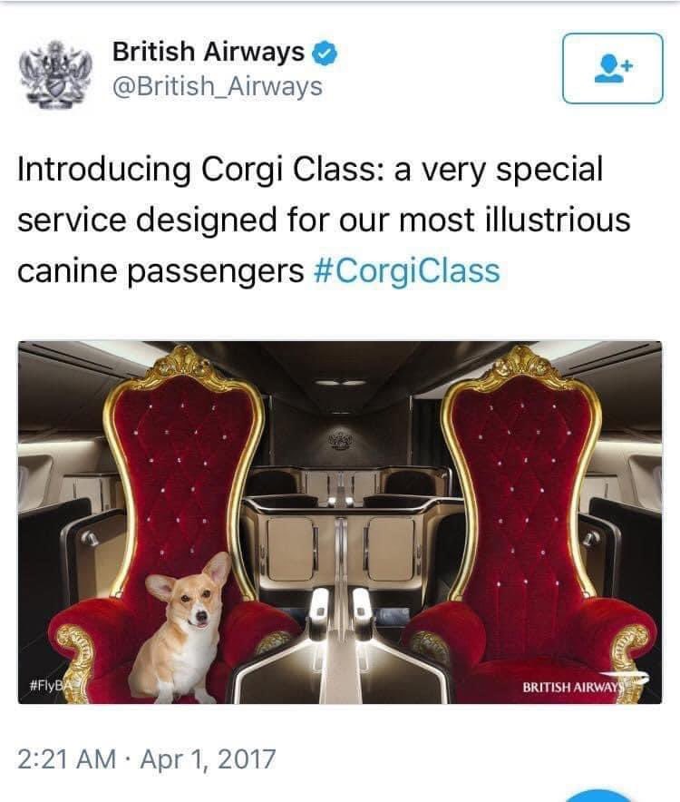 jewishcorgi's tweet photo. I know this is an #AprilFools joke, but make it happen @British_Airways! #corgiclass π¦ π¬π§ βοΈ https://t.co/b1g9HyUEZW