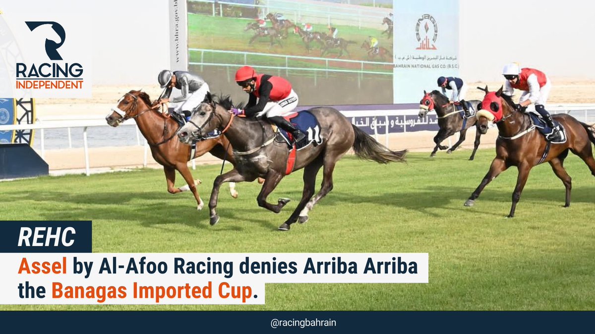 independent_bh's tweet photo. Assel by Al-Afoo Racing denies Arriba Arriba the Banagas Imported Cup.

#HorseRacing #Bahrain #REHC https://t.co/suAs1SEqw9