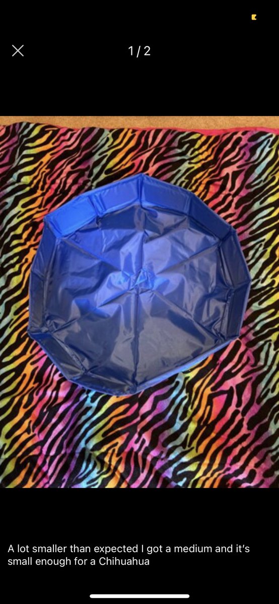 jain_says's tweet image. I was on @SHEIN_official looking at #Pet stuff..I came across this pet pool....only 7$ 👀 so I look at the reviews 😂 💀 #bruh #petpool #mini