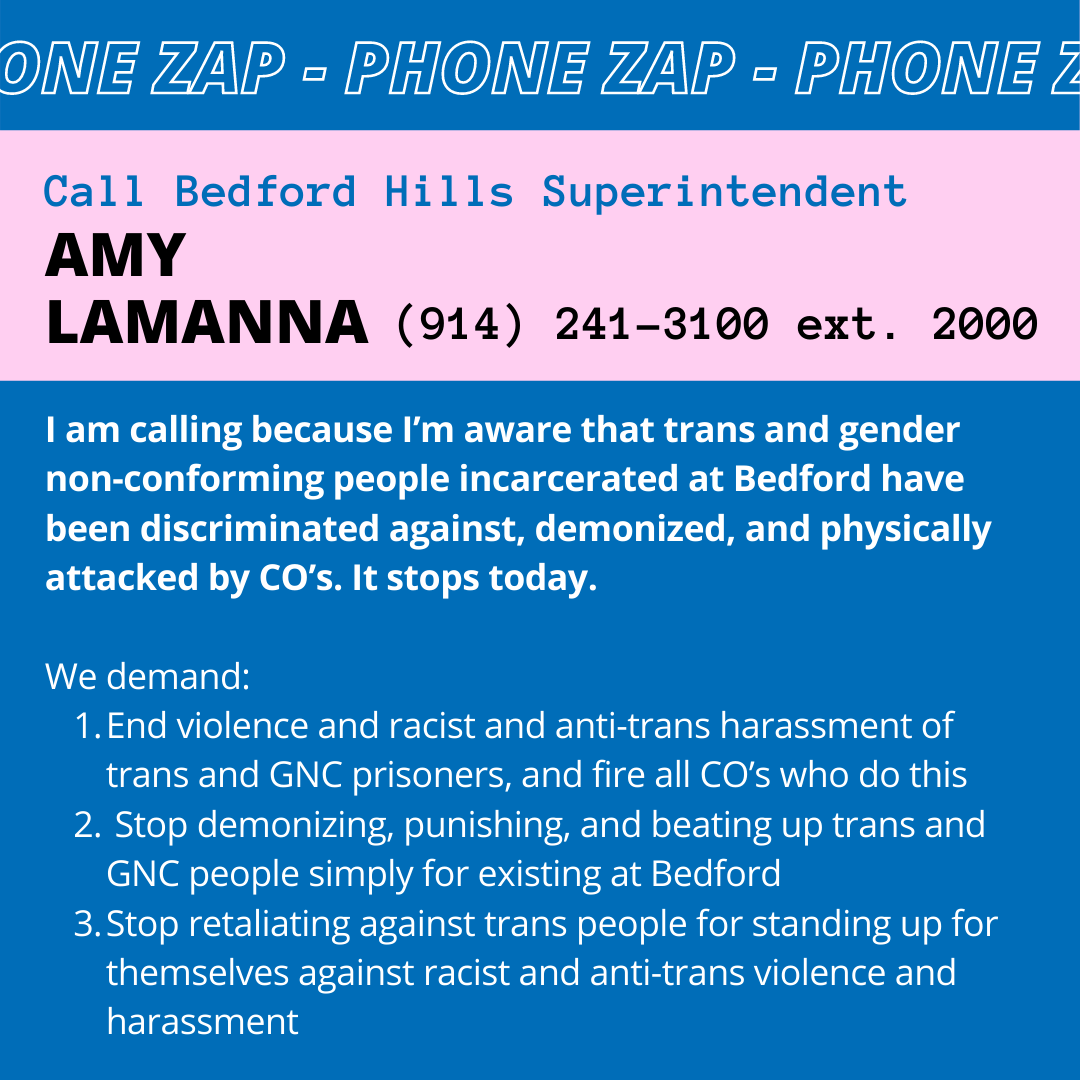 blue background pink stripe and black and white text, urging people to call Bedford Superintendent Lamanna. 

script and phone numbers available here: https://docs.google.com/document/d/1W_nI2ns1Z7zy-WDp6-_sb0LCtH_UWx7eEydCtzcYhn0/edit