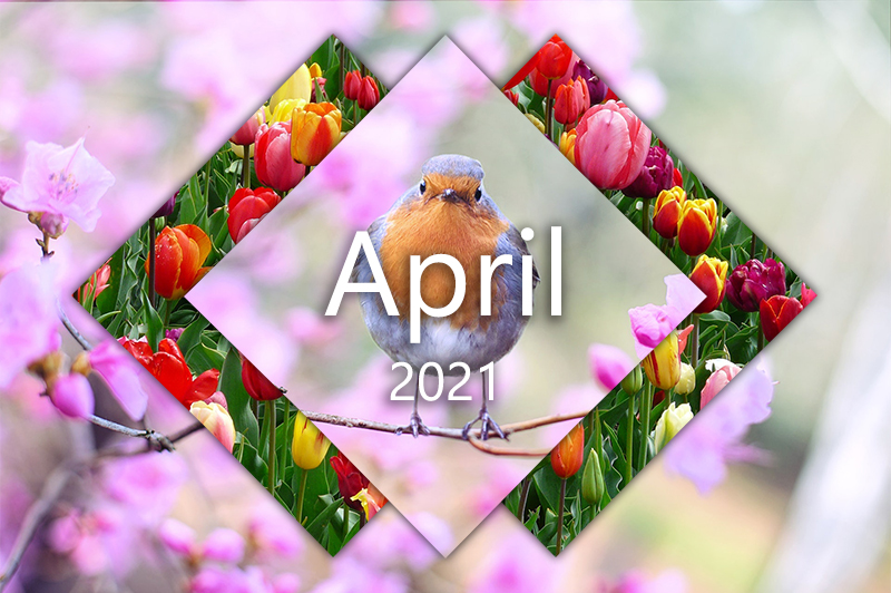 A little bit of spring renewal in my little April Newsletter 🌷 - mailchi.mp/80809b50fc3b/a…