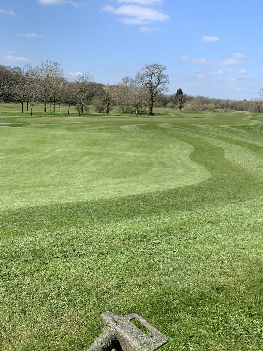 nick swift tweet media