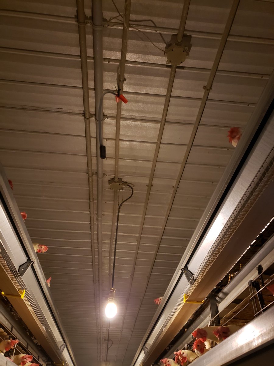 Want to pick #AGTwitter collective brain cell on this one

We want to provide more protection to the wires for these temperature probes, but heat wrapping them is giving a false low reading

Any other ideas? 

(The boss doesn't thing we can calibrate the probes at the computer)