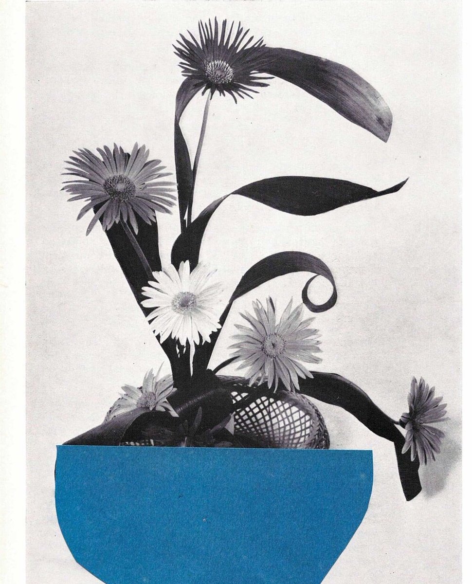 Hangar Photo Art Center tweet media