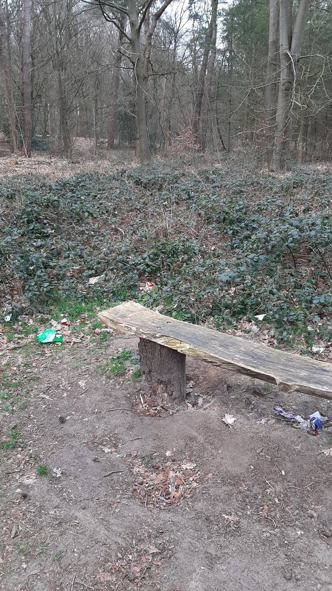 MiesSluiter's tweet photo. Prullenbakje hier...geen overbodige luxe #Tynaarlo #Zuidlaren #Dennebos #afval #bankje https://t.co/6m8Va7EPXv