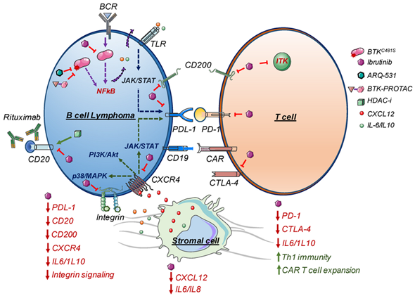 Cancers_MDPI's tweet photo. 💠#Review "Ibrutinib Resistance Mechanisms and Treatment Strategies for B-Cell #Lymphomas" 
👥by Bhawana George, Sayan Mullick Chowdhury et al.
👉https://t.co/9Emj70qomf
ibrutinib; acquired resistance; genetic alterations; tumor microenvironment https://t.co/XDeszysLm7