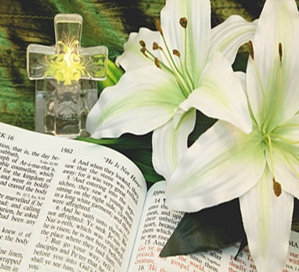 NwupC's tweet photo. "Who Will Tell The Story"
Easter Sunday Service
Rev. Miriam Gentle, Pastor
Sunday, April 4, 2021 @ 9:45 a.m.
In the sanctuary or LIVE on Facebook at 
https://t.co/tE3fbTd3Fl
Also on our YouTube channel at 
https://t.co/0LblaiOMXP https://t.co/NKgkhy1Tyo