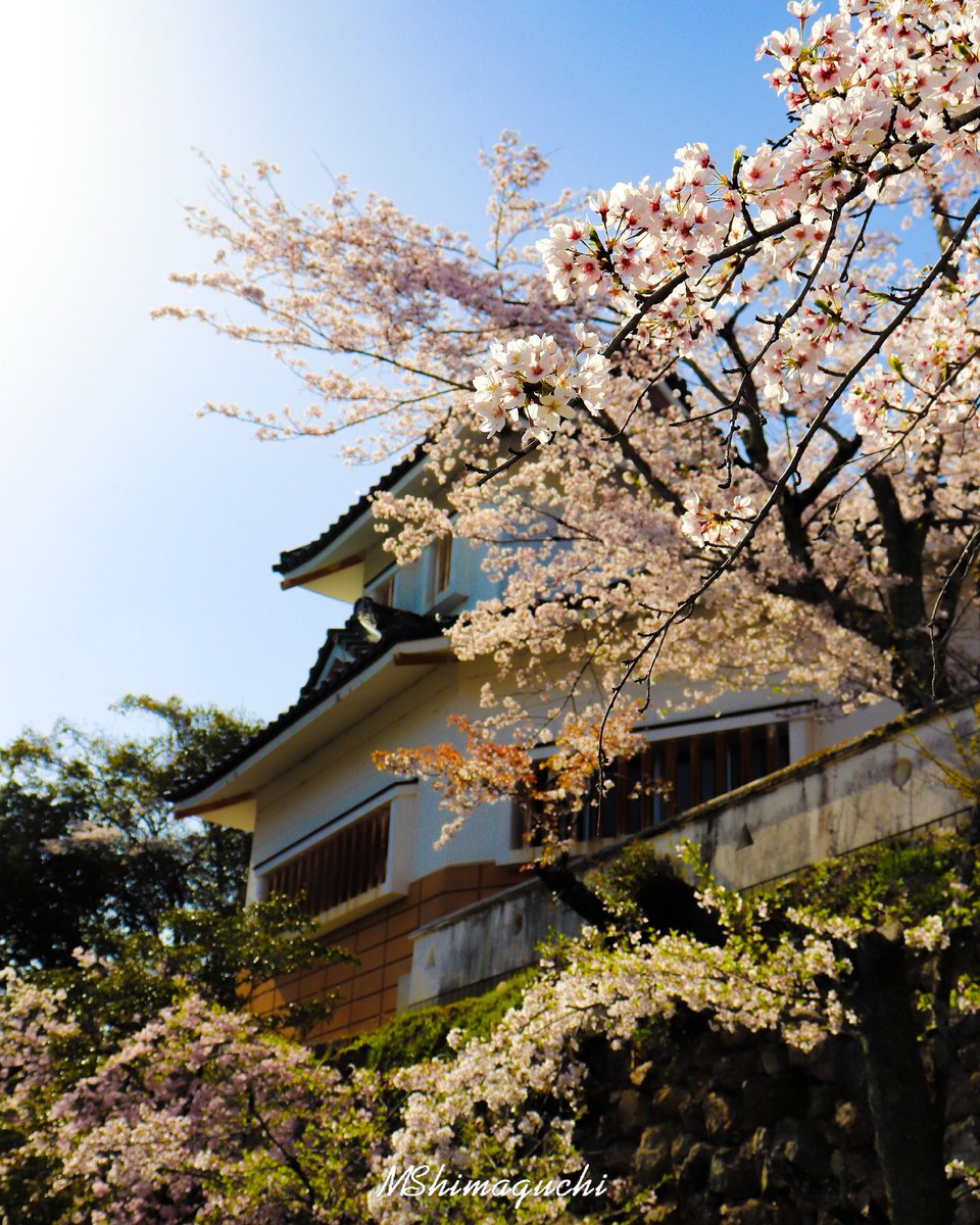Japan Bestpic Japan Bestpic