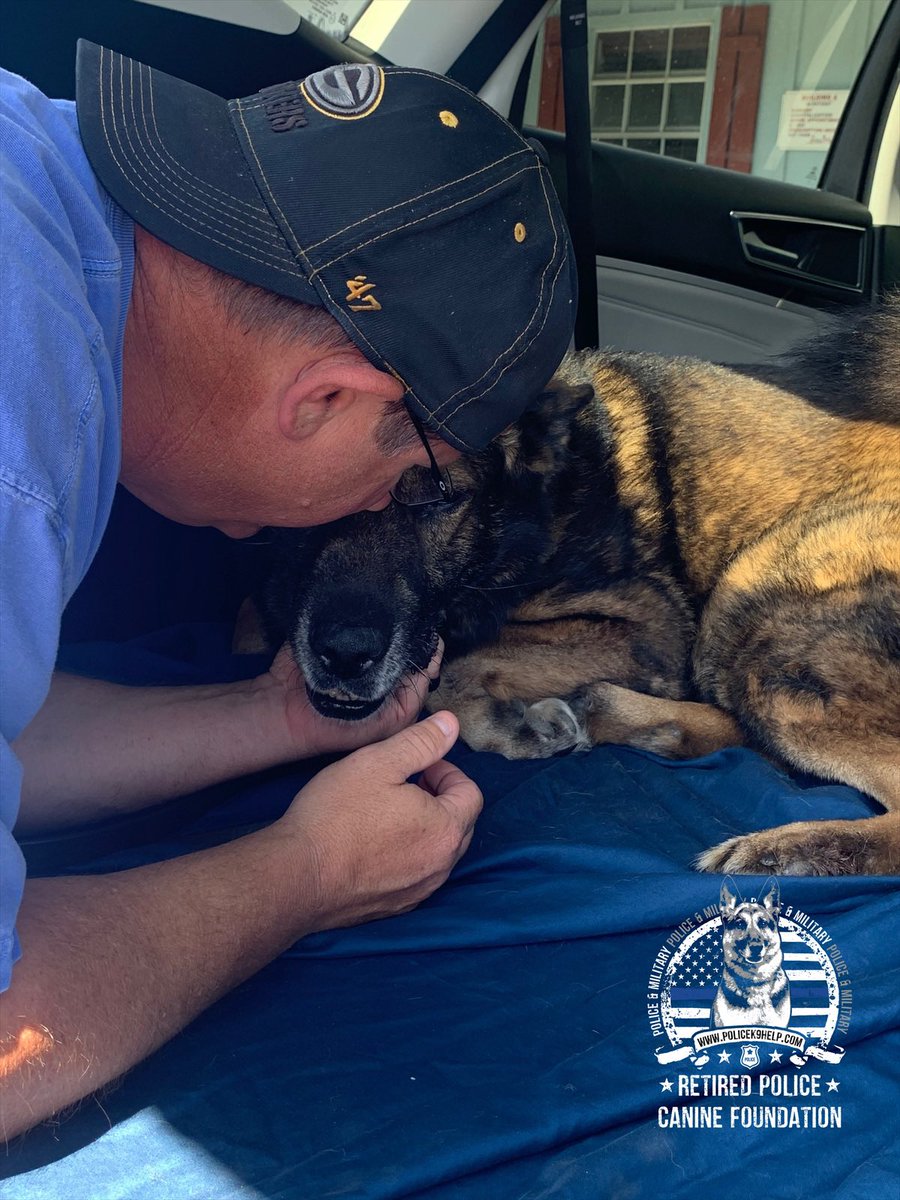 k9_retired's tweet photo. Program K9 hero Dzel just had hernia surgery but the good news is @k9_retired paid his bill in full👍 #FolloMe to see how we support military and police canines across the country🇺🇸 #charity #StrongerTogether https://t.co/5gll6TXkoJ