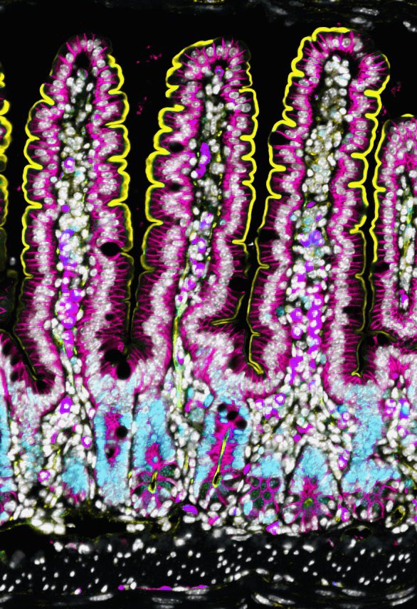 Happy #FluorescenceFriday