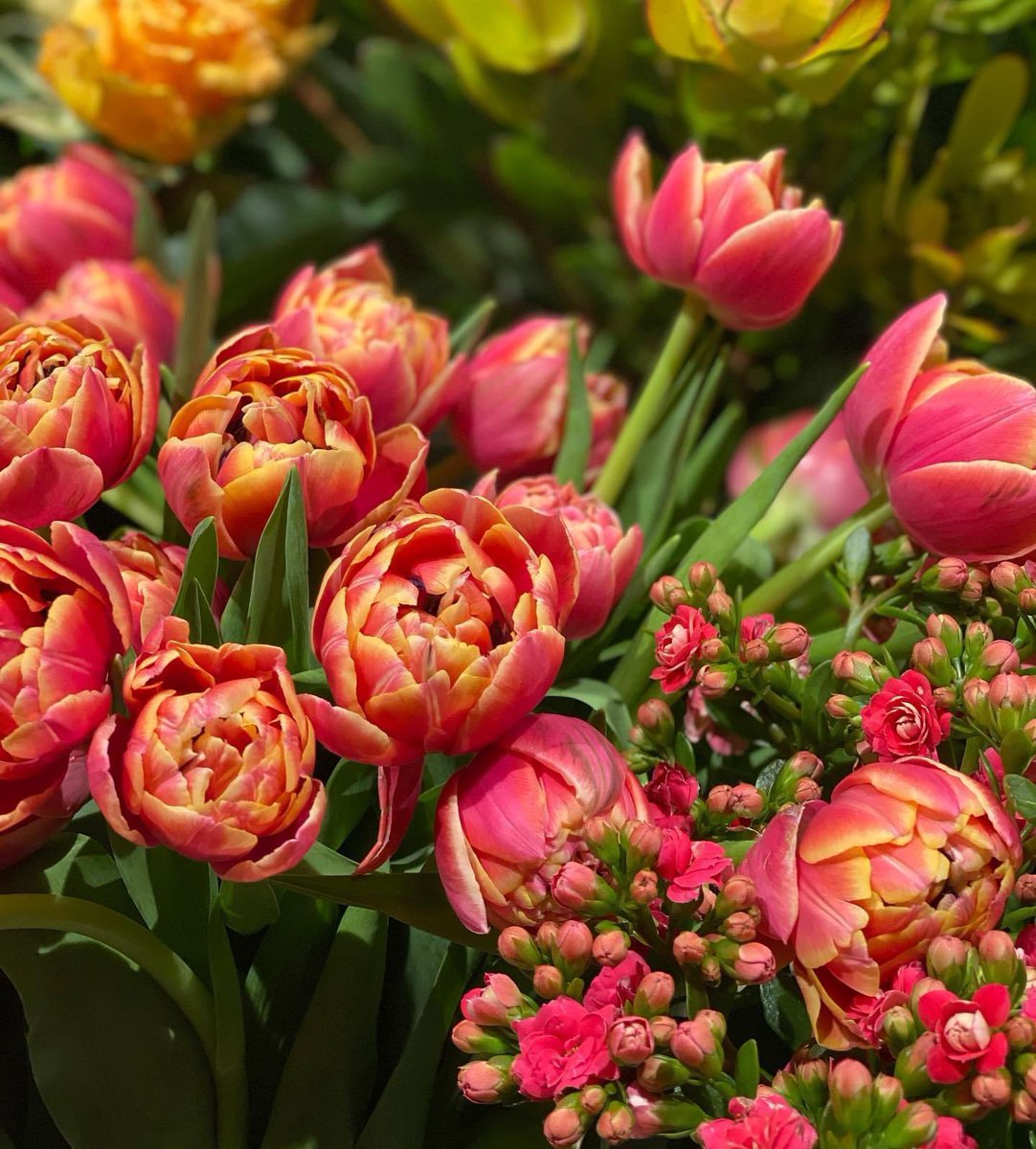 Vrolijk het paasweekend in met een mooi boeket 💐 ✨ #pasen #interieur #wonen #marcusantonius #bloemen #weekend