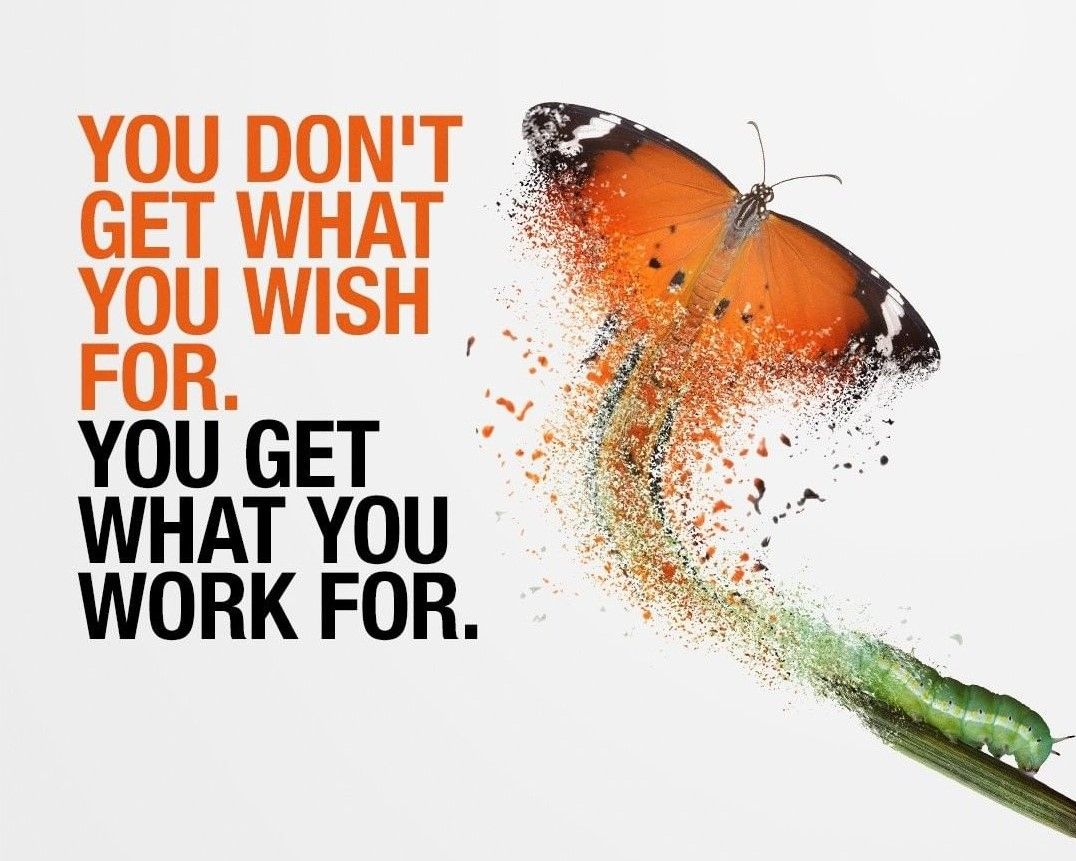 papillon_group's tweet photo. #focus #career #goals https://t.co/p4qVv53Rqc