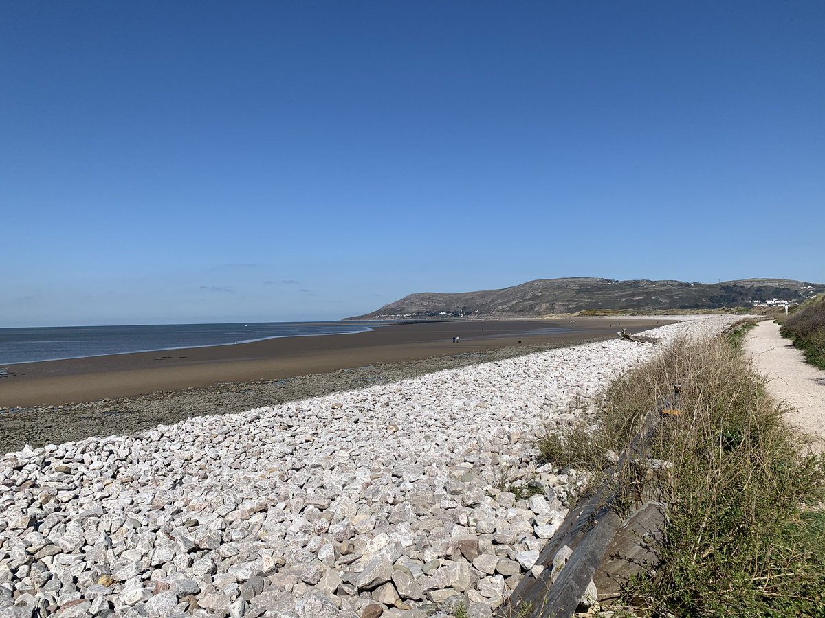 SaraMcKeeFRSA's tweet photo. Wonderful walk along the beach this morning. Lots of friendly dog walkers and a lovely chance encounter with one of my Dysgu Cymraeg friends and her new puppy for Percy to socialise with ๐พ
#GoodFriday #LifeinFullColour https://t.co/lek0skq60c