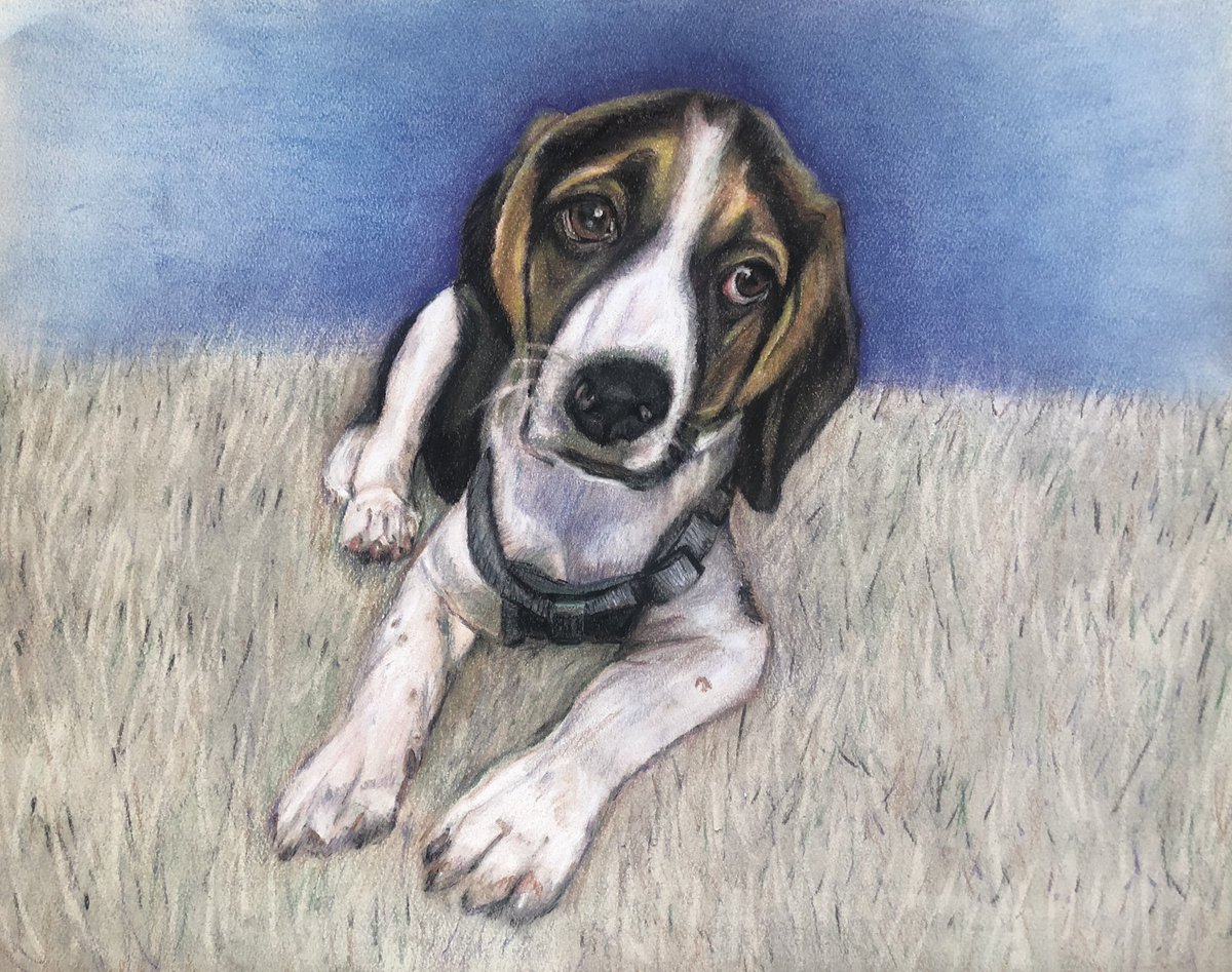 Have not posted in a while. After 30 years, I retired Oct 1st. from NJ public school system. Open to new opportunities in art and art education though.  
May start a pet portrait business. Here 4 that I did recently for family/friends. These are all pastel and 11X14 in size.