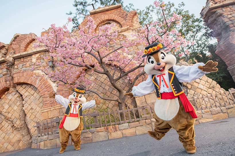 ED92Magic's tweet image. 🌸 Donald and Chip &amp;amp; Dale celebrate spring at Tokyo Disney Resort 🇯🇵